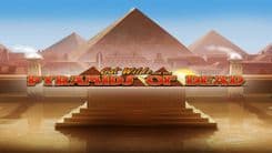 cat_wilde_and_the_pyramids_of_dead_image