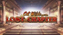 cat_wilde_and_the_lost_chapter_image