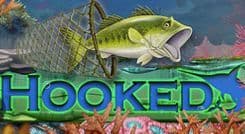 hooked_image