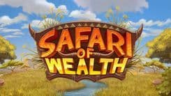 safari_of_wealth_image