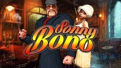 sonny_bono_image