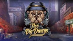 the_big_dawgs_image