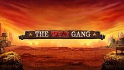 the_wild_gang_image