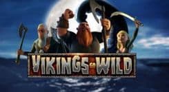 vikings_go_wild_image