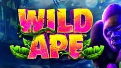 wild_ape_image