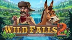 wild_falls_2_image