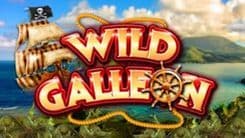 wild_galleon_image