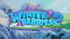 winterberries_2_image