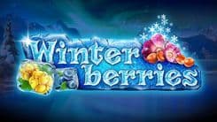 winterberries_image