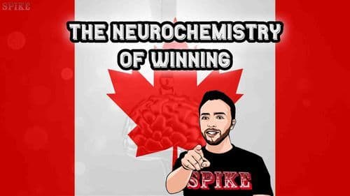 Slot Gaming Dopamine Role