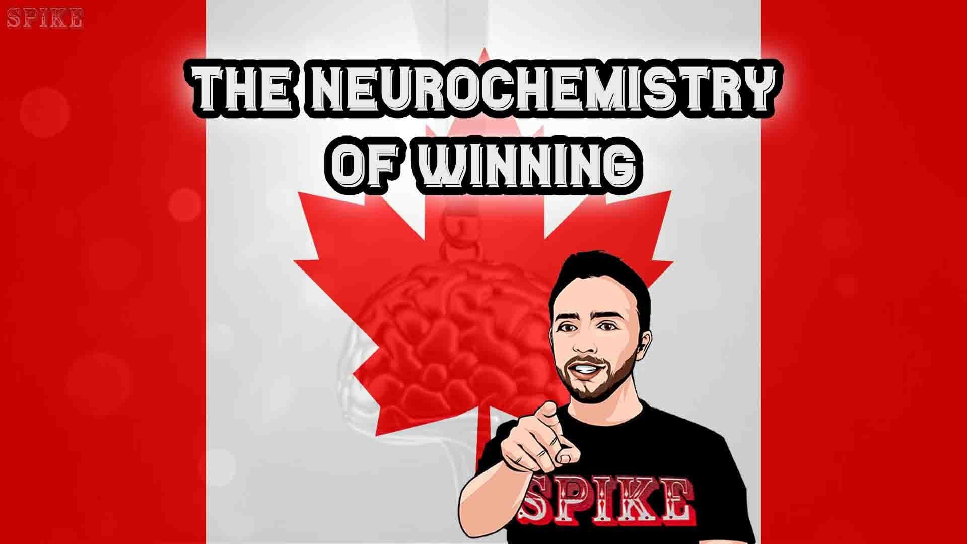Slot Gaming Dopamine Role