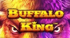 buffalo_king_image