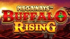 buffalo_rising_megaways_image