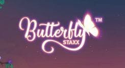 butterfly_staxx_image