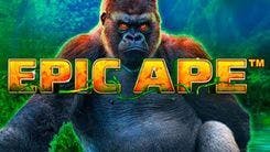 epic_ape_image