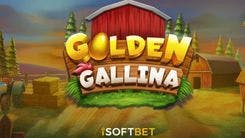 golden_gallina_image