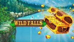 wild_falls_image
