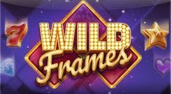 wild_frames_image